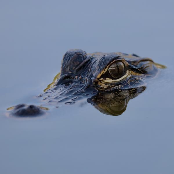 Customer photo 2 of 4. Click to open full size image.