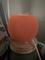 User submitted photo