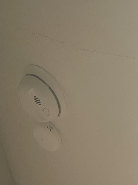 Customer photo 1 of 1. Click to open full size image.