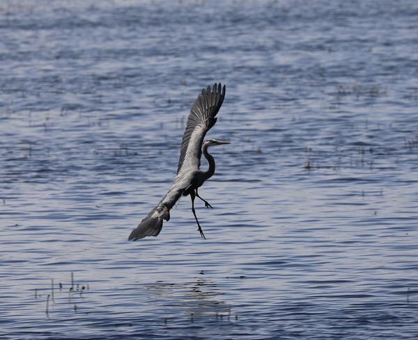 Customer photo 1 of 4. Click to open full size image.