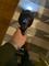 User submitted photo