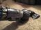 User submitted photo