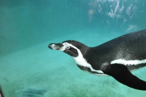 Customer photo 4 of 6. Click to open full size image.