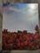 User submitted photo