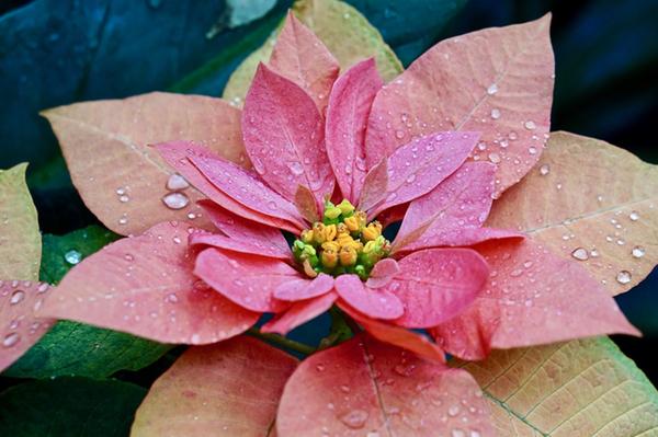 Customer photo 2 of 2. Click to open full size image.