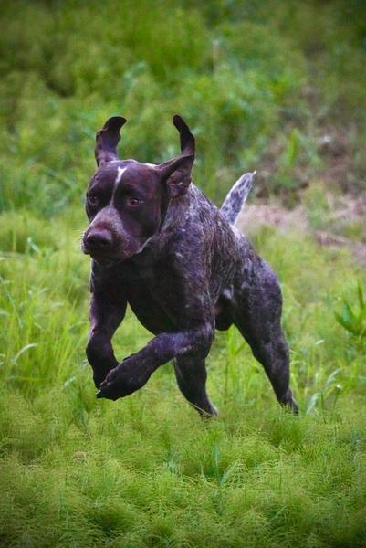 Customer photo 5 of 6. Click to open full size image.