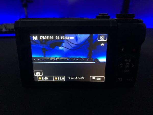 Customer photo 6 of 6. Click to open full size image.