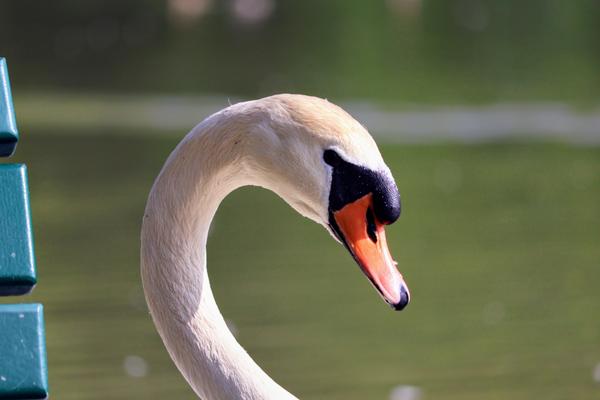 Customer photo 3 of 5. Click to open full size image.