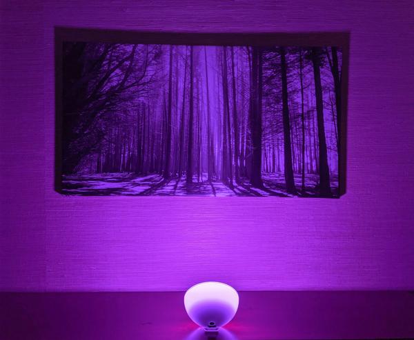 Customer photo 1 of 3. Click to open full size image.