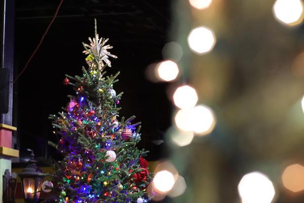 Customer photo 5 of 6. Click to open full size image.