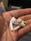 User submitted photo