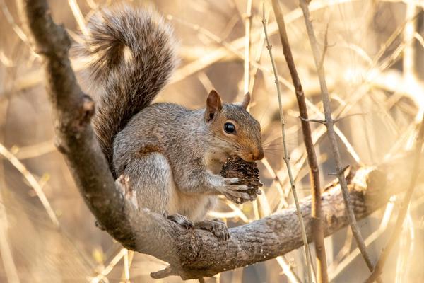 Customer photo 4 of 4. Click to open full size image.