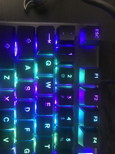 Customer photo 3 of 6. Click to open full size image.