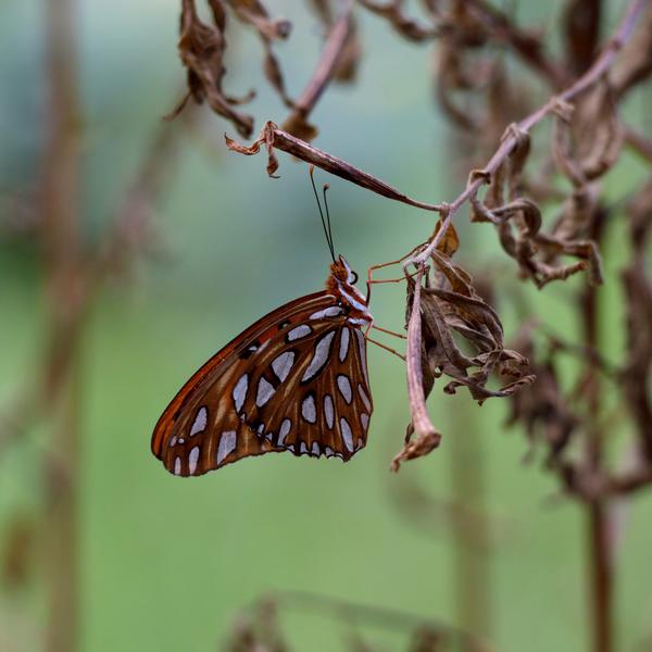 Customer photo 3 of 4. Click to open full size image.