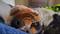 User submitted photo