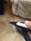 User submitted photo
