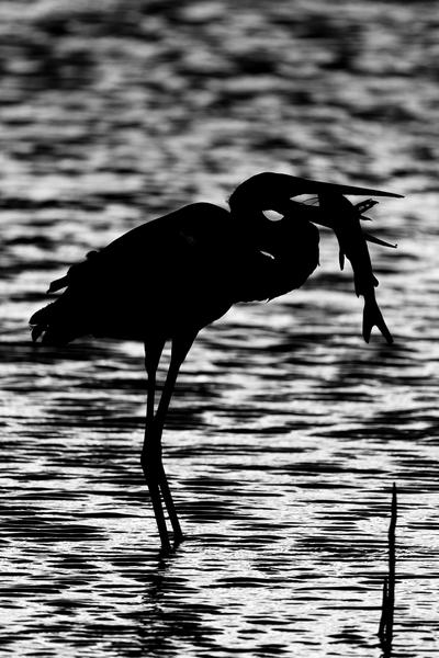 Customer photo 2 of 3. Click to open full size image.