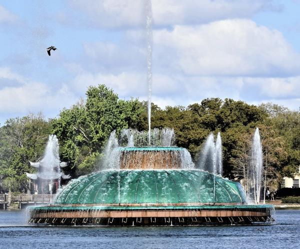 Customer photo 6 of 6. Click to open full size image.