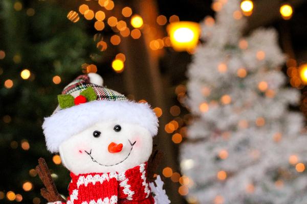 Customer photo 1 of 4. Click to open full size image.