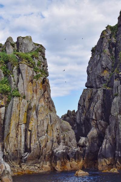 Customer photo 6 of 6. Click to open full size image.