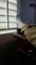 User submitted photo