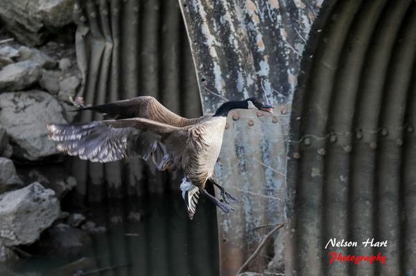 Customer photo 3 of 3. Click to open full size image.