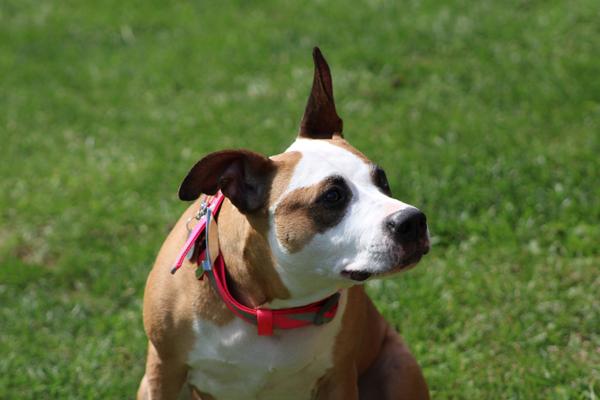 Customer photo 2 of 6. Click to open full size image.