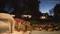 User submitted photo
