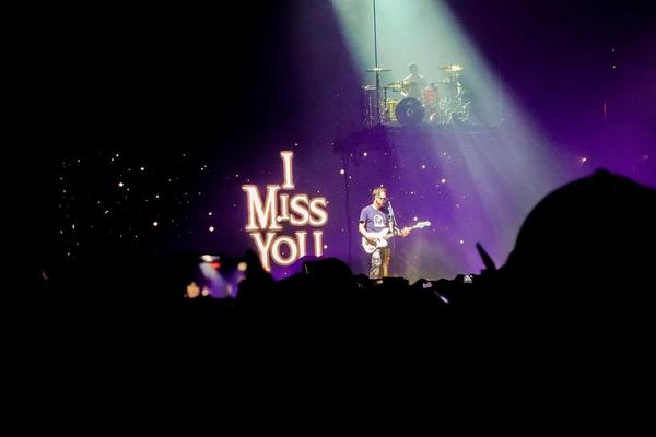 Customer photo 6 of 6. Click to open full size image.