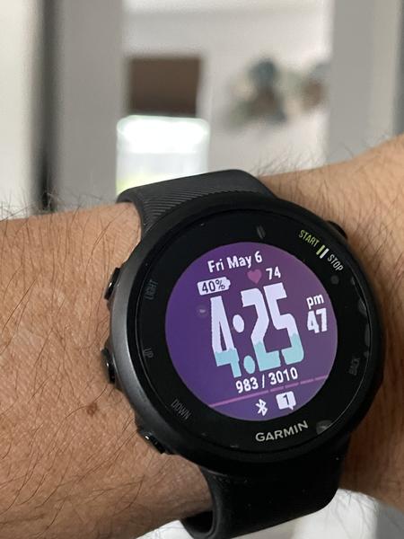 Garmin forerunner discount 45 best buy