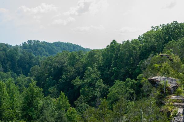 Customer photo 1 of 4. Click to open full size image.