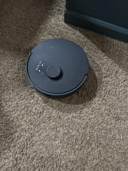 Customer photo 2 of 3. Click to open full size image.
