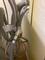 User submitted photo