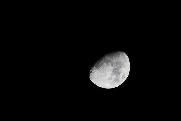 Customer photo 6 of 6. Click to open full size image.