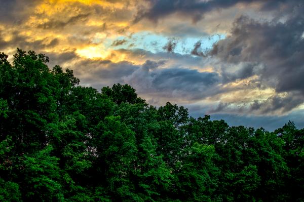 Customer photo 5 of 6. Click to open full size image.