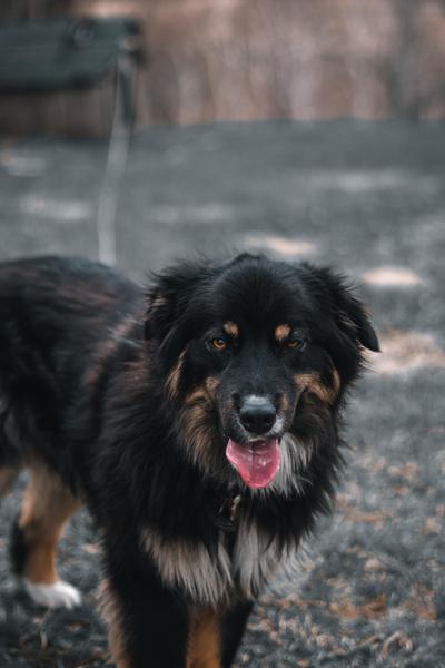 Customer photo 1 of 4. Click to open full size image.