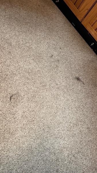 Customer photo 2 of 3. Click to open full size image.