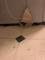 User submitted photo