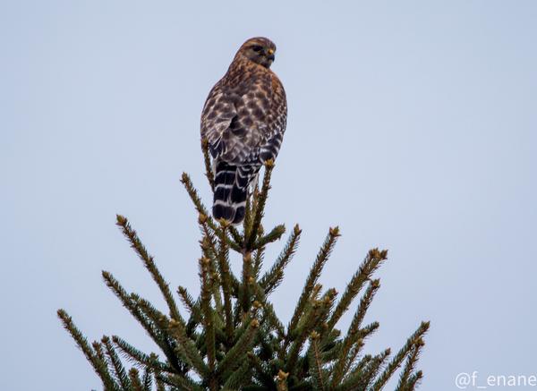 Customer photo 3 of 4. Click to open full size image.