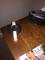 User submitted photo