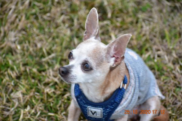 Customer photo 4 of 6. Click to open full size image.