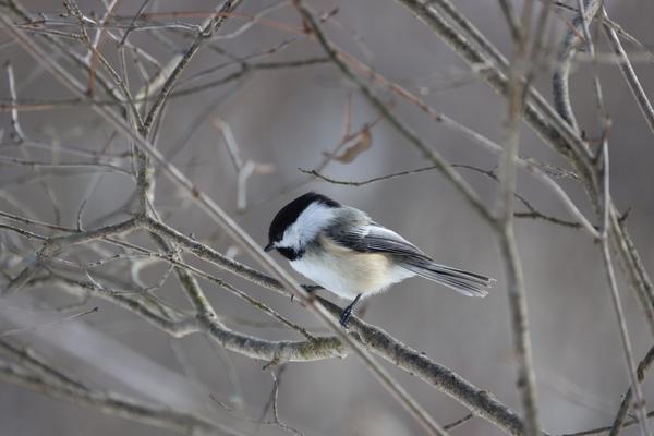 Customer photo 2 of 2. Click to open full size image.