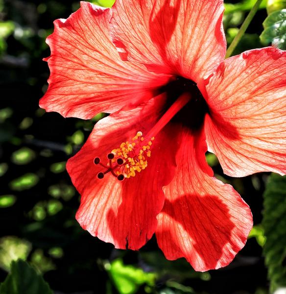 Customer photo 6 of 6. Click to open full size image.