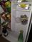 User submitted photo