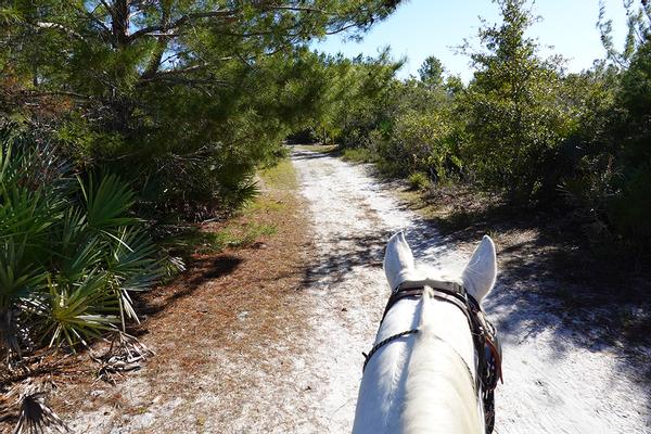 Customer photo 3 of 5. Click to open full size image.