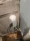 User submitted photo
