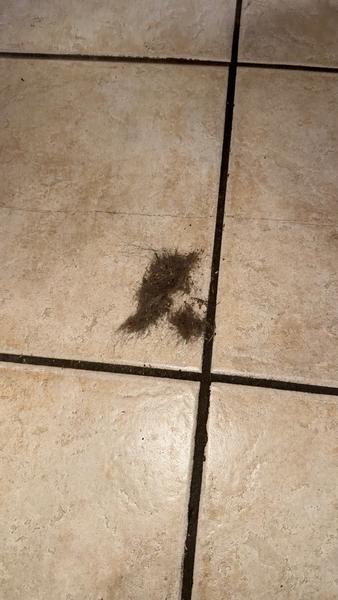 Customer photo 3 of 3. Click to open full size image.