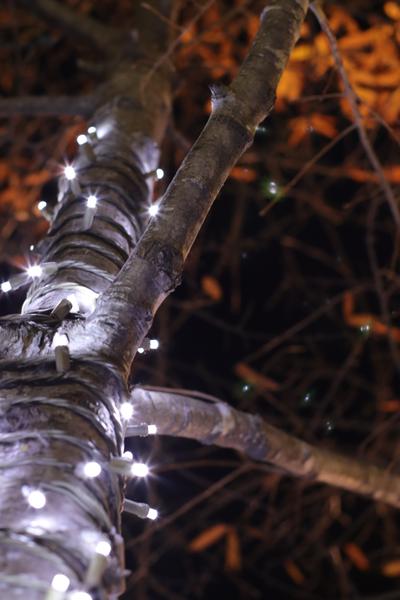 Customer photo 2 of 6. Click to open full size image.