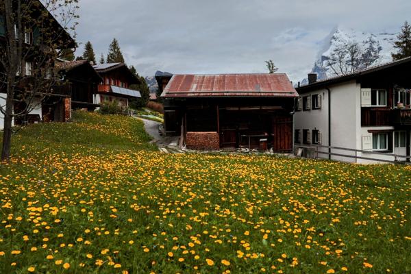 Customer photo 1 of 6. Click to open full size image.