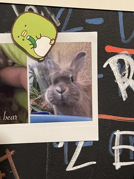 Customer photo 1 of 1. Click to open full size image.